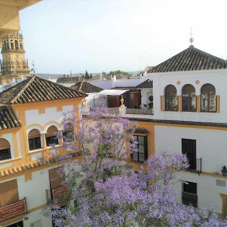 Appartamento La Casa De La Musica Cordova Esterno foto